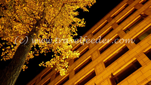 Hangzhou at night