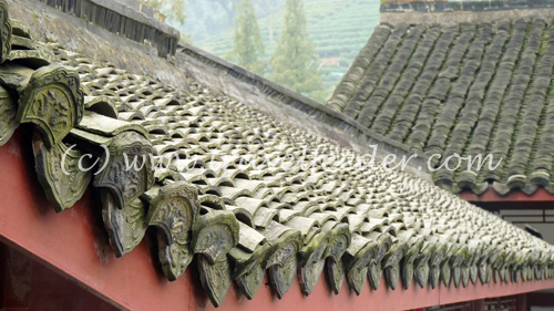 Mei Jia Wu village in Hanzhou