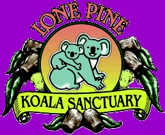 lone-pine koala sanctuary