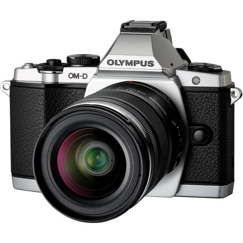 Top 5 digital camera for year end holidays