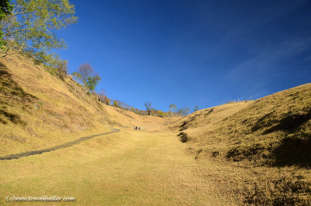 Green-Green-Grassland-winter-view