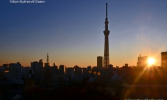Tokyo Skytree at dawn