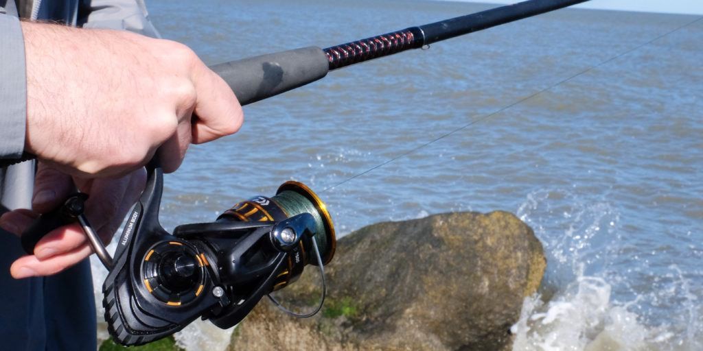 Choose the Right Okuma Ceymar Spinning Reel for Your Next Fishing Trip