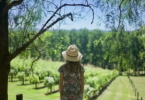 Australia Wine Tour to Yarra Valley